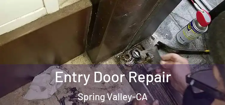  Entry Door Repair Spring Valley-CA
