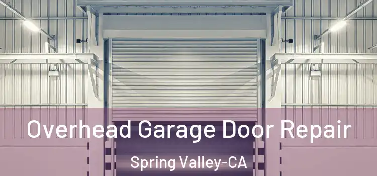  Overhead Garage Door Repair Spring Valley-CA
